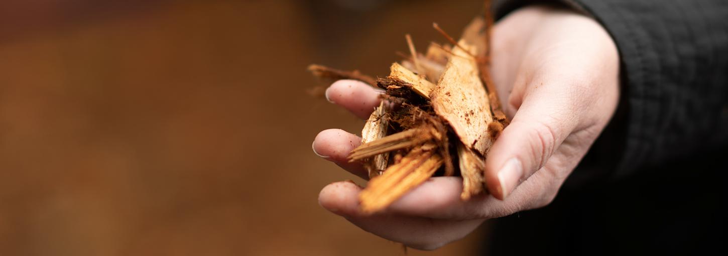 用于为地区能源厂提供动力的生物质 